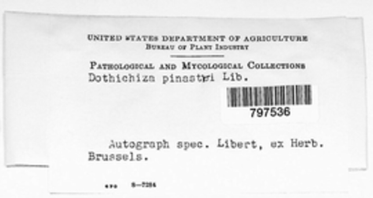 Tryblidiopsis pinastri image
